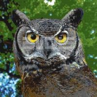 Glass Tile Mural: Owl