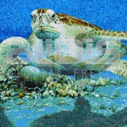 Glass Tile Mural: Water Turtle